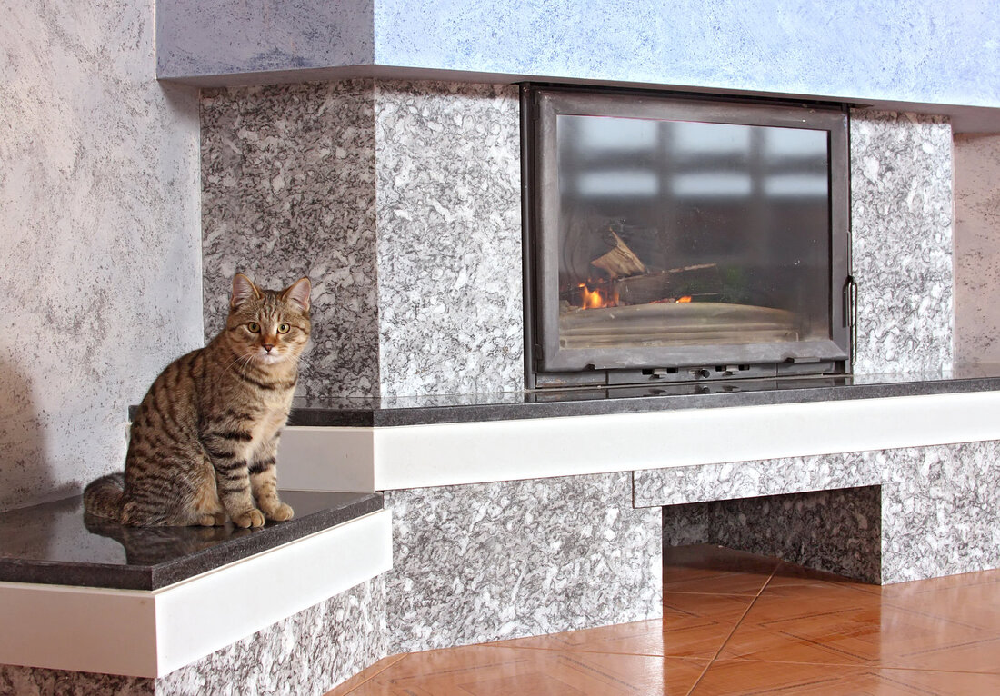 cat beside the fireplace